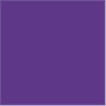 Purple Matte Foil